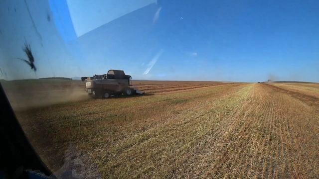 Финал уборки 2021 года. Заканчиваем молотить гречку смотреть онлайн