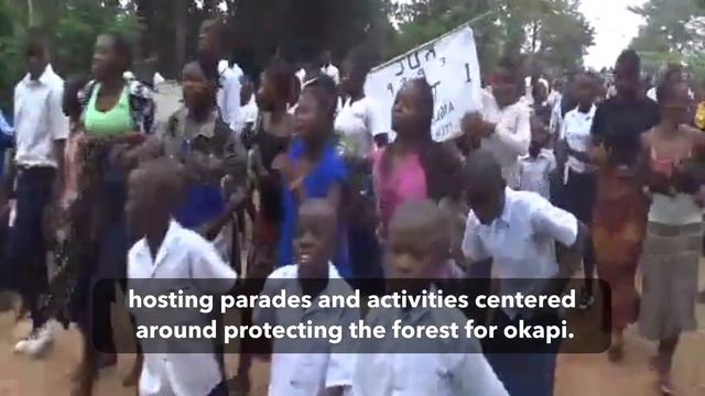 2021 Year in Review - Okapi Conservation Project смотреть онлайн