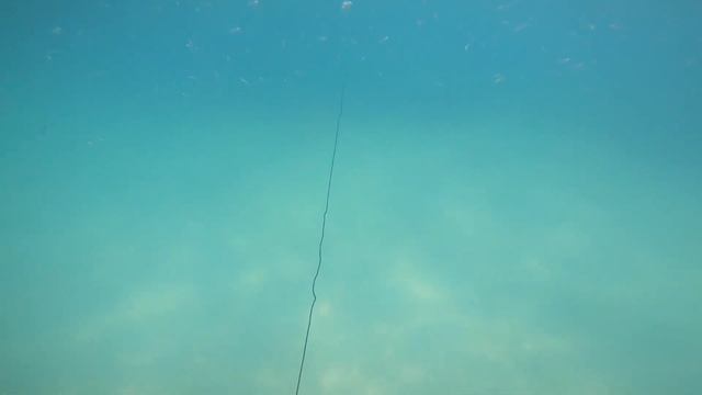 LITTLE CAVE! Spearing SHALLOW REEFS + Exploring small caves!! Spearfishing fails and catches 6!!! смотреть онлайн