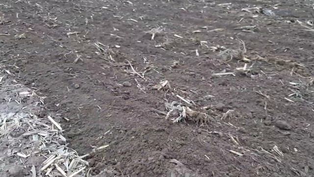 Почалося!!!Вносим карбамід та закриваємо вологу.Тест нової борони. смотреть онлайн