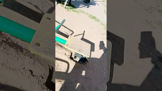 1000008109.mp4 смотреть онлайн