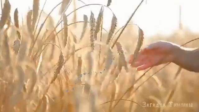 Мантра любви приносит большую силу смотреть онлайн