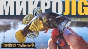 ПОЙМАЛ КУЧУ ОКУНЯ И ЭТО ЧУДОВИЩЕ ► МИКРОДЖИГ