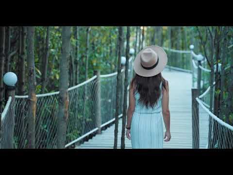 Fantasy 2024 (Bright Version).