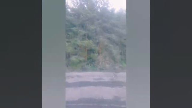 Тракторный Завод заброшенный смотреть онлайн