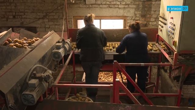 Министр АПК и торговли - в ООО «АПК «Любовское» смотреть онлайн