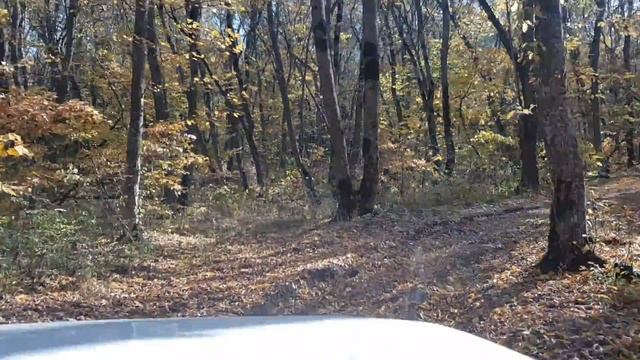 Лёгкая покатушка по лесу, любуемся красотой природы.