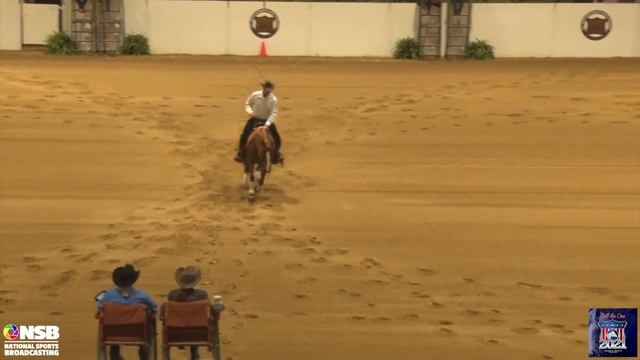 2021 Quarter Horse Congress Reining Open Futurity Brandon Brant On Jewels Hot Shine
