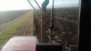 вспашка зяби МТЗ 952.3 с 4 ех корпусным плугом