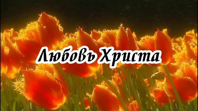 Ксения Лапицкая - Любовь Христа (Я слышу зов любви) смотреть онлайн