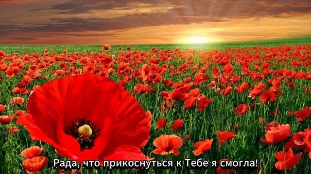 Всепривлекающий Господь Бог, Бхагавад-Гита как она есть, духовное творчество.