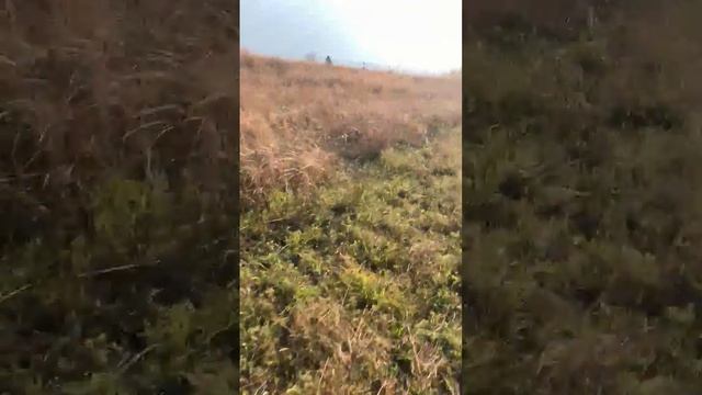 Поездка на родельбане в Красной Поляне смотреть онлайн