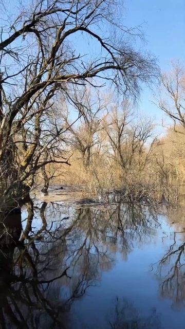 Райская Роща