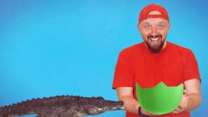 Синий Трактор - А Где Твои Колеса?