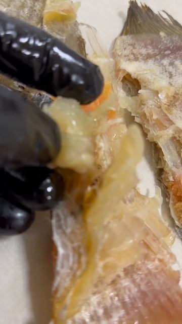 Хорошо когда есть чем подкрепиться👍 Мурманский Ерш👍 #азбукасевера