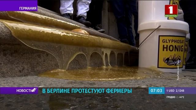 Немецкие фермеры и пчеловоды устроили акцию протеста в Берлине смотреть онлайн
