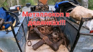 Вечерний коп на стоянках лесорубов.Мощный металл делянок.
