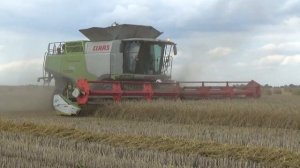 Всем комбайнерам посвящается! - Мой комбайн 2019