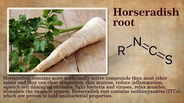 Natural Powerful Antibiotics смотреть онлайн