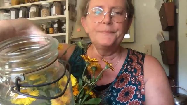 Calendula, beautiful calendula... oil смотреть онлайн