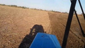 Предпосевная дисковка подсолнечника.