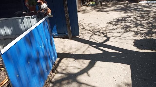 болталка смотреть онлайн