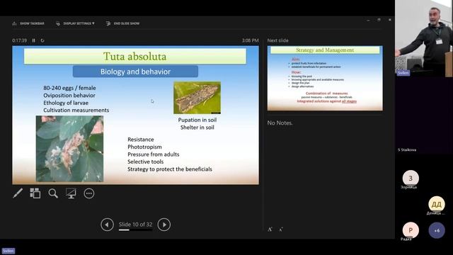 Tuta absoluta, доматен миниращ молец и методи за контрол с биоагенти смотреть онлайн