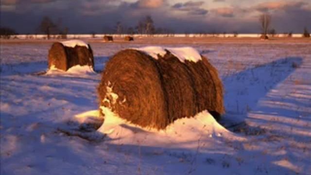 Прости меня, Боже смотреть онлайн