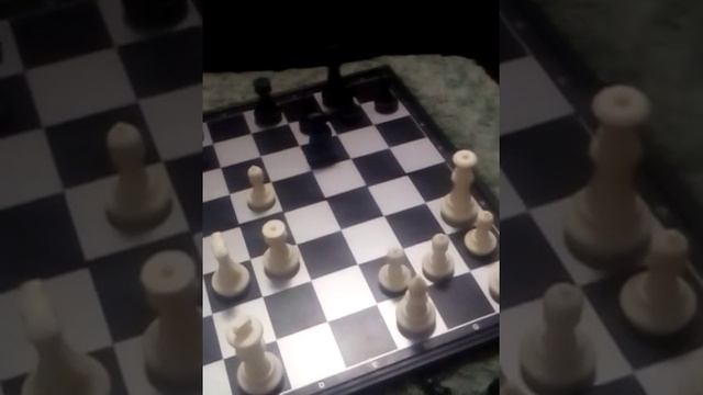 Шахматы. смотреть онлайн