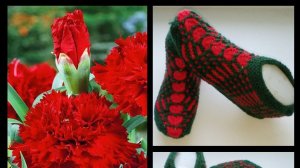 26.МК #  "ГВОЗДИКА" # СЛЕДОЧКИ  С ВЕЕРАМИ НА ДВУХ СПИЦАХ БЕЗ ШВОВ #