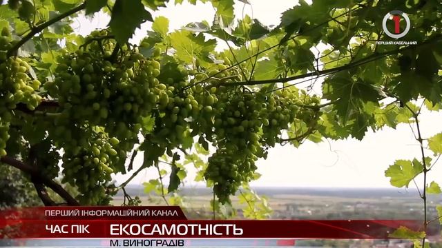 У Виноградові живе "господиня" Чорної гори смотреть онлайн