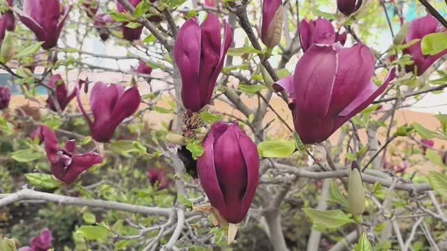 11.04 КРАСНОДАР В НАЧАЛЕ АПРЕЛЯ