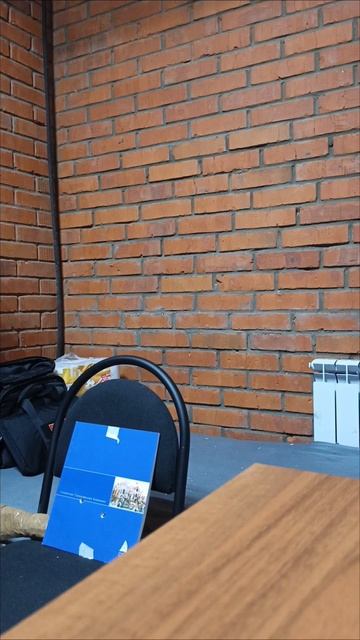 тест бульдог с трёх метров