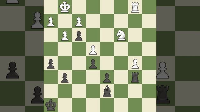 Sicilian Defense: Open Pelikn and Sveshnikov Chelyabinsk Variation 9...Be7 10.Bxf6 Bxf6 11.c3 O смотреть онлайн