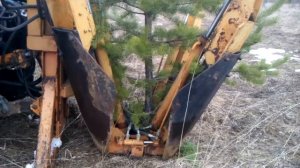 Пересадчик деревьев Крона ПД-0.8 выкопка сосны