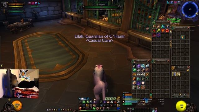 Avyuir's WoW Stream | Dungeons and stuff! 2/3 смотреть онлайн