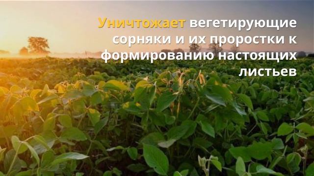 Гербіцид Антисапа Ліквід 🍂 , опис препарату 🍂 смотреть онлайн