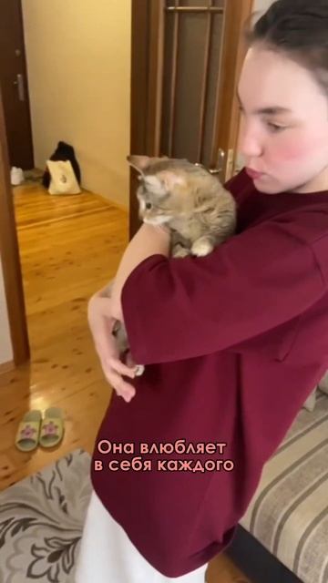 Эту кошечку мы забрали у женщины, обвиняющей волонтеров в том, что они клянчат деньги #shortvideo смотреть онлайн