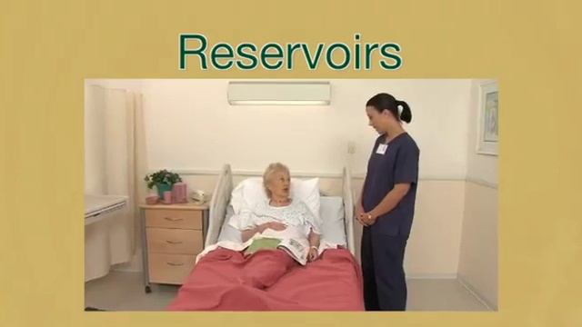 Infection Control in Long Term Care: Safe Work Practices смотреть онлайн
