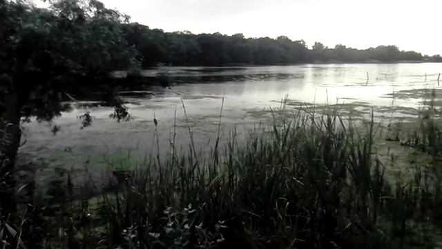 Рубежное природа