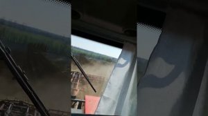 Культивация.Кировец (К 735 +КПМ-12) .Небольшой обзор.