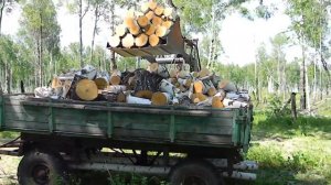 Трактор Т - 40 погрузка дров 2 часть