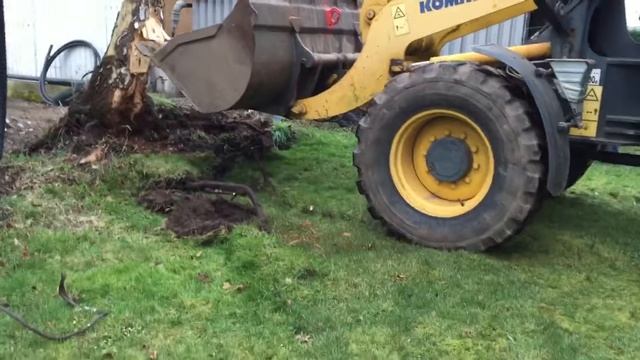 Birke stubben ziehen смотреть онлайн