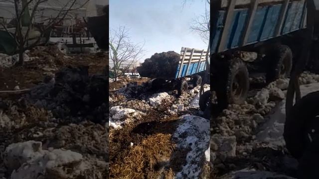 дт 75 с прицепом 2 птс-4 смотреть онлайн