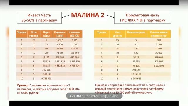 ЦИФРЫ В МАЛИНЕ 2. Галина Сушкова от 25 Августа смотреть онлайн