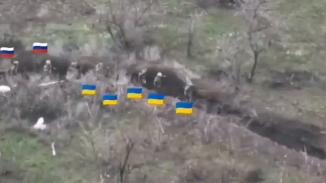 Двое наших бойцов взяли в плен пятерых украинских военных. смотреть онлайн