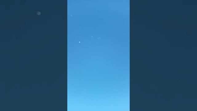 Полет и посадка голубей смотреть онлайн