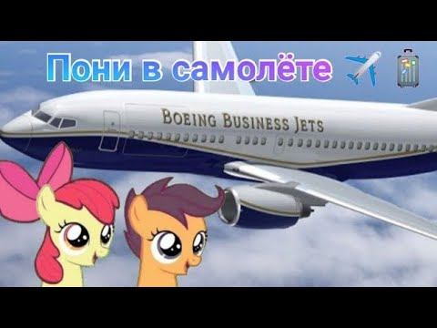 Пони в самолёте✈️