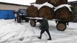 мтз80 с куном на цепях зимой