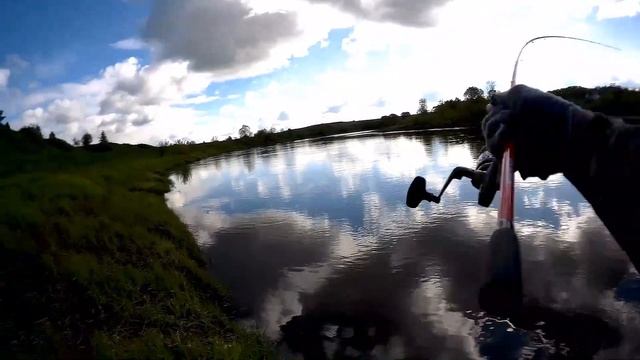 Щука река Днепр спиннинг с берега